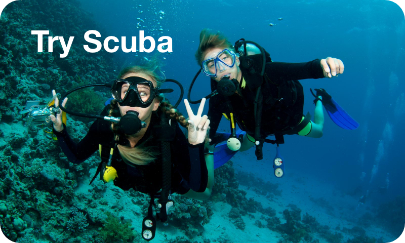 Try Scuba