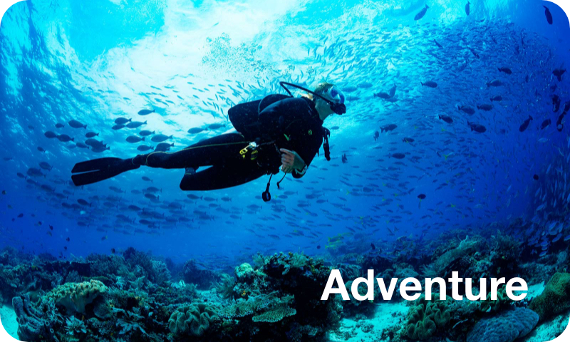 Adventure Dive
