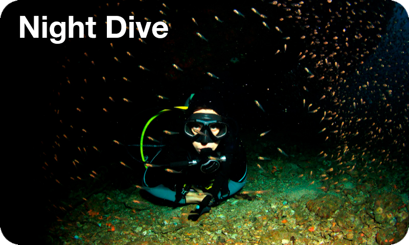 Night Dive