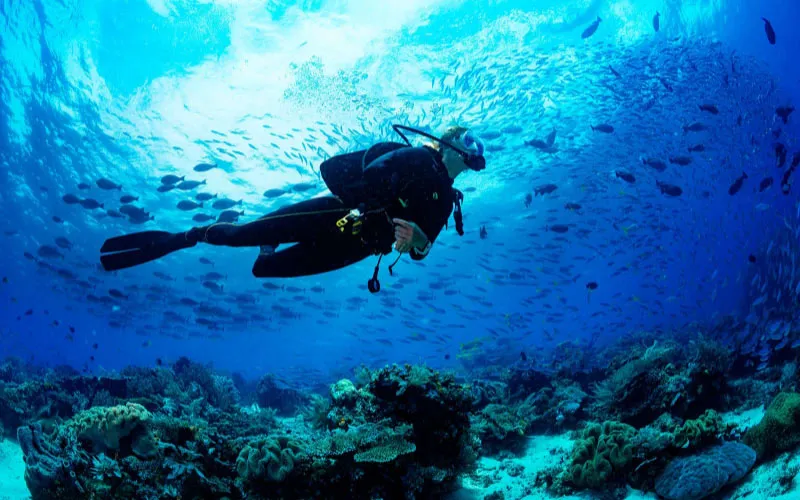 Advanced adventure diving in Isla Mujeres