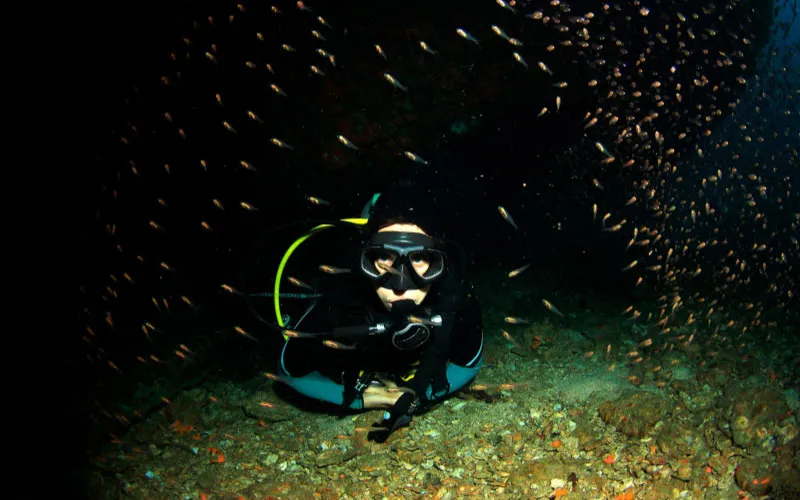 Night diving in Isla Mujeres