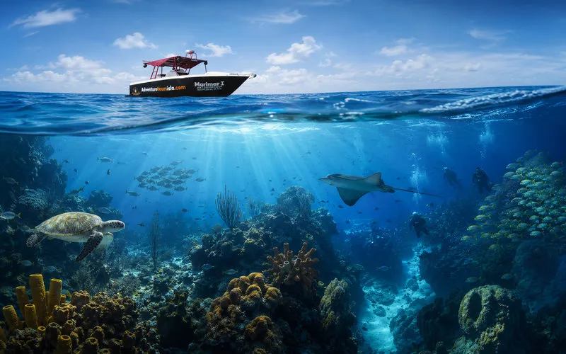 Dive sites around Isla Mujeres