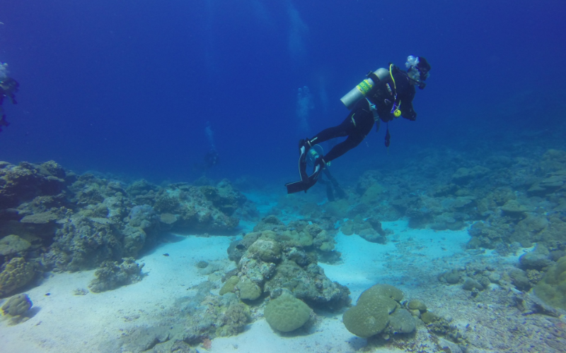 Diving